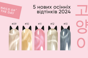 NAILSOFTHEDAY Korean Cat Eye —  5 нових осінніх відтінків 2024