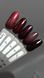SAGA Professional Love Red gel polish set, 5 шт &times; 10 мл &mdash; набір гель-лаків для нігтів