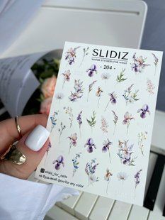 Слайдер-дизайн Slidiz 204