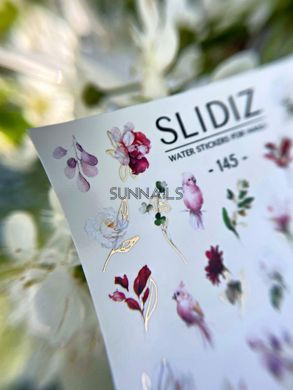 Слайдер-дизайн Slidiz 145