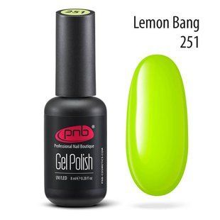 PNB Gel polish, 251, 8 мл &mdash; гель-лак для нігтів