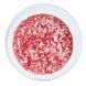 Global Fashion Seashell gel paint, 09, 8 гр &mdash; гель-фарба для дизайну нігтів, морська мушля