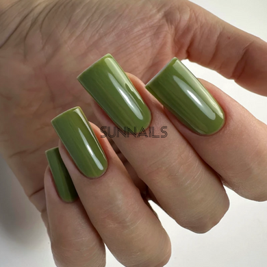 PNB Gel polish, Quiet Olive, 06L, 8 мл &mdash; гель-лак для нігтів