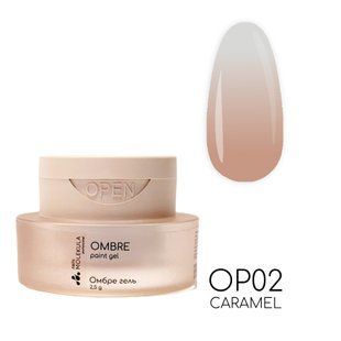 Nails Molekula Air Cushion Ombre, 02, 2.5 г &mdash; гель-фарба кушон для дизайну нігтів