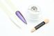 Global Fashion Перлинна пудра, Aurora powder, WT22