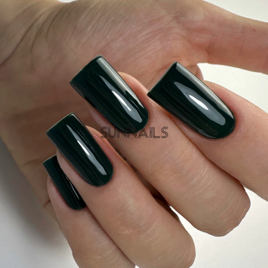 PNB Gel polish, Hidden Garden, 08L, 8 мл &mdash; гель-лак для нігтів