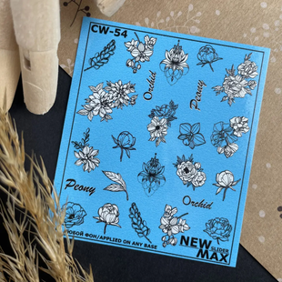 Слайдер-дизайн NEW MAX CW-54