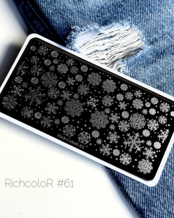 RichColor Пластина для стемпінгу, 061