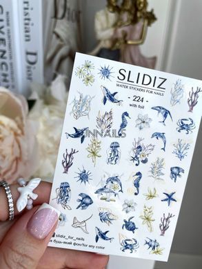 Слайдер-дизайн Slidiz 224