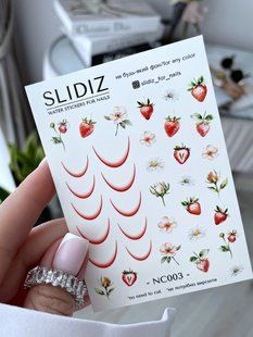 Слайдер-дизайн Slidiz NC003