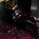 NAILSOFTHEDAY Malbec base potal, 03, 10 мл &mdash; вітражна база з золотою поталлю
